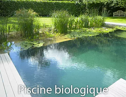 Image piscine biologique